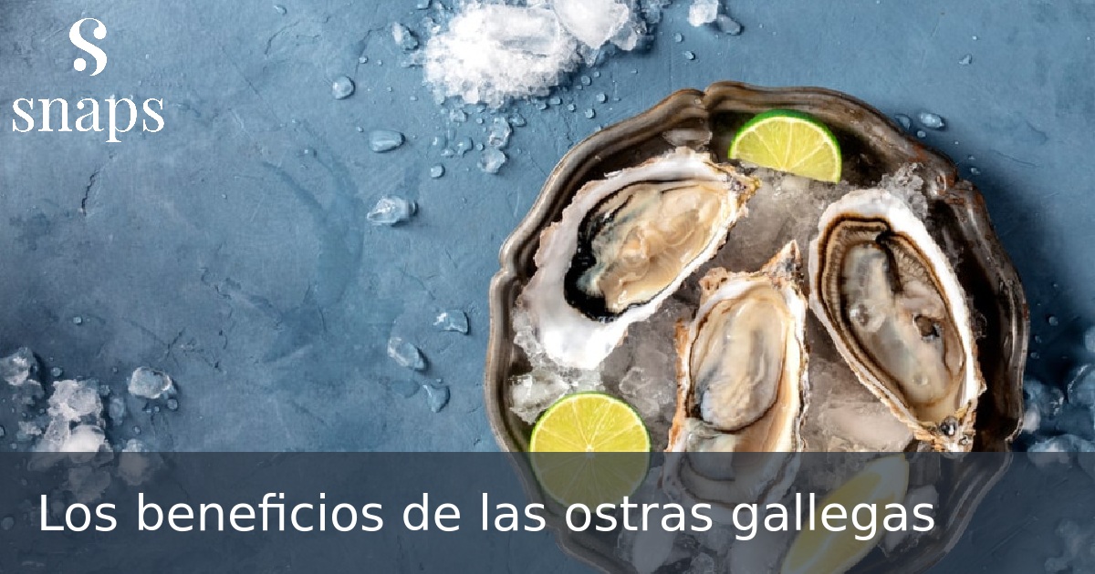 Los beneficios de las ostras gallegas