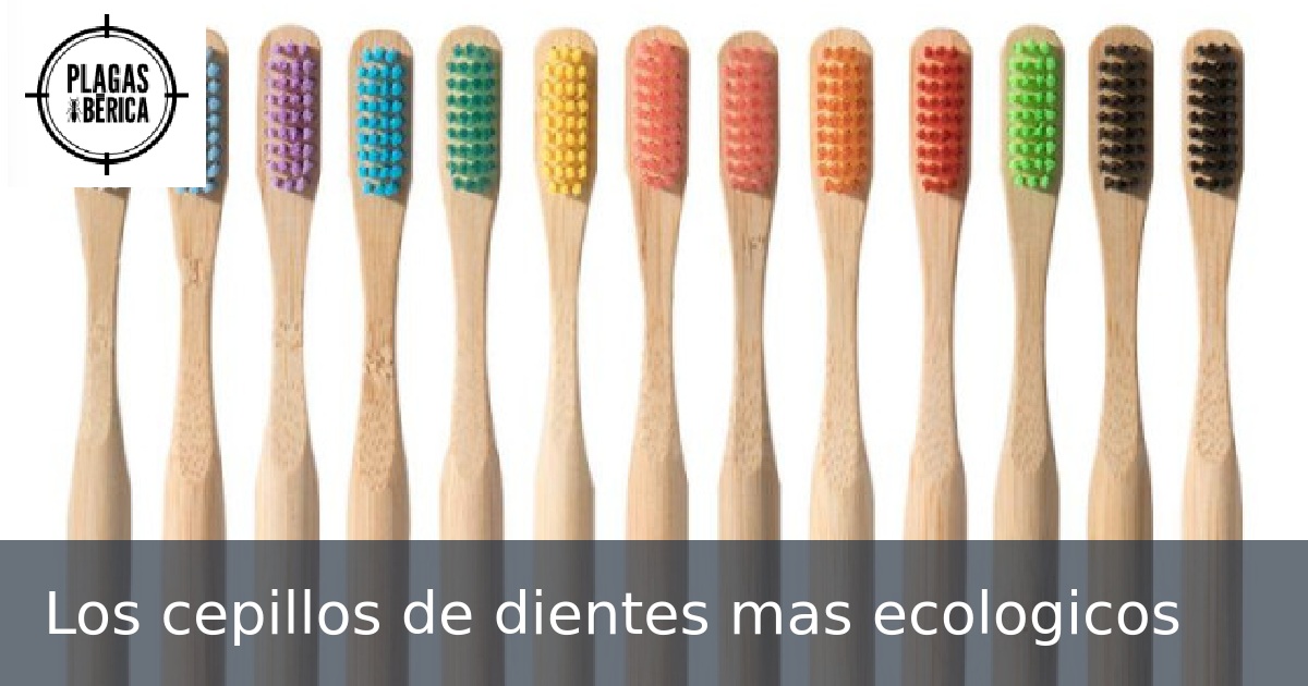 Los cepillos de dientes mas ecologicos