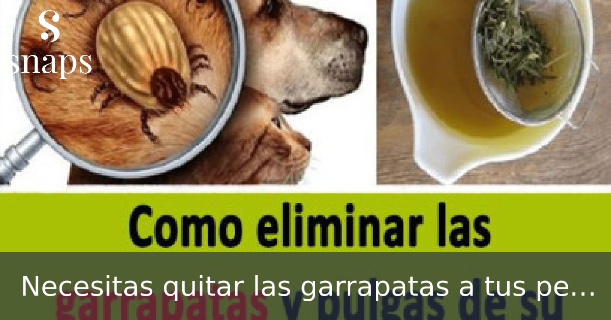 Necesitas quitar las garrapatas a tus perros?