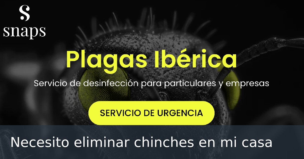 Necesito eliminar chinches en mi casa
