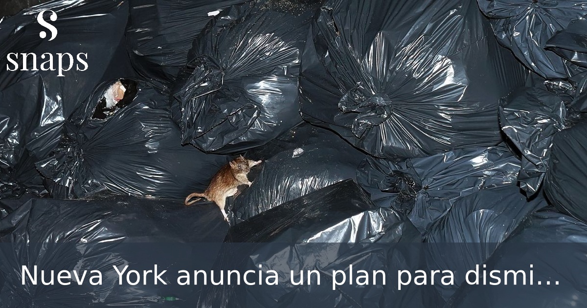 Nueva York anuncia un plan para disminuir la presencia de ratas en las calles