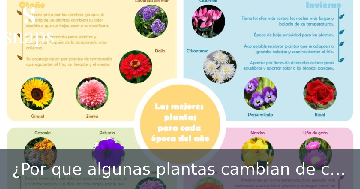 ¿Por que algunas plantas cambian de color con las estaciones?