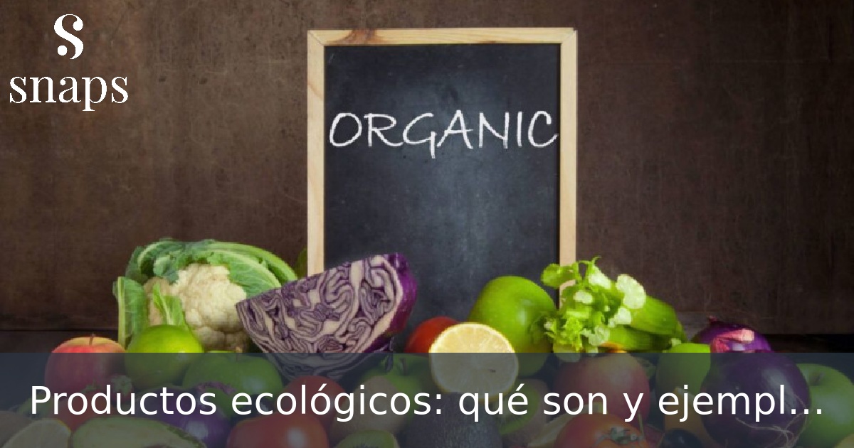 Productos ecológicos: qué son y ejemplos - Resumen