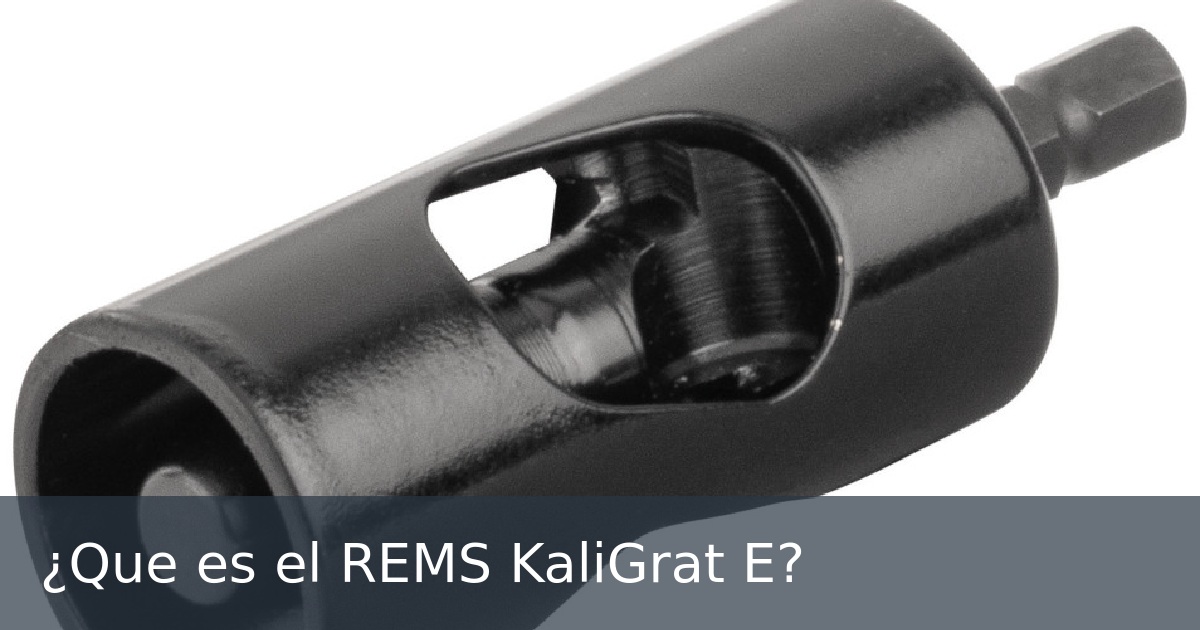 ¿Que es el REMS KaliGrat E?