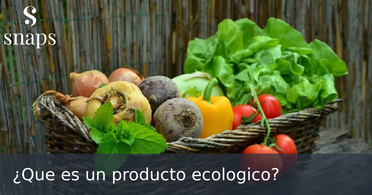 ¿Que es un producto ecologico?