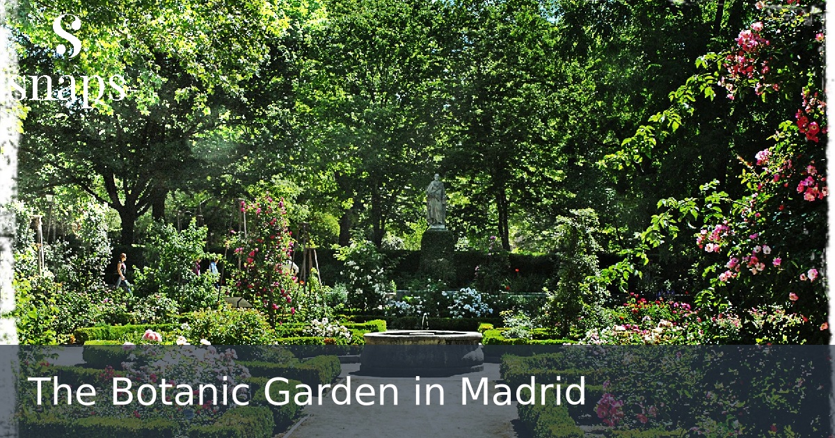 The Botanic Garden in Madrid