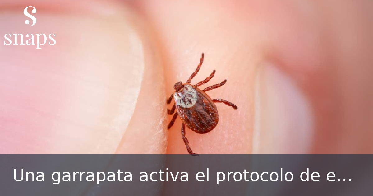 Una garrapata activa el protocolo de emergencia en Madrid por la transmisión de una enfermedad letal